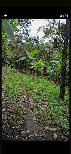 Imagen 4 de 10 de Se Vende De Oportunidad Hermosa Finca De 40 Hectáreas