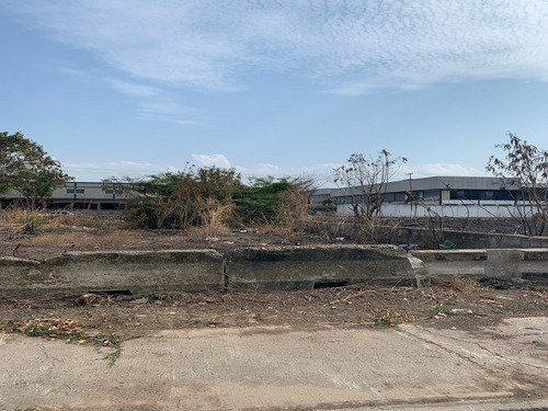Imagen 2 de 3 de Terreno 300 Mtrs