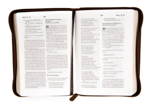 Biblia Traducción Lenguaje Actual Mediana Marrón Con Cierre