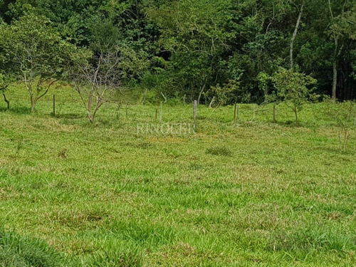 Imagem 6 de 14 de Chácara Em Claraval - Mg - Ch0013_rncr