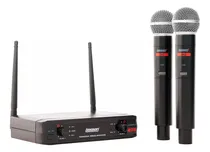 Comprar Micrófono Inalámbrico Uhf Lexsen 2h2 Doble De Mano 50 Metros