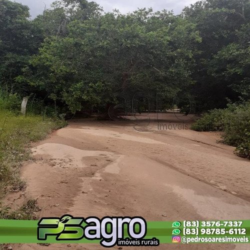 Imagem 5 de 16 de ( Fazenda Em Promoção )fazenda À Venda, 26000 Hectares Por R$ 6.200.000 - Centro - Bonito De Minas/mg - Fa0072