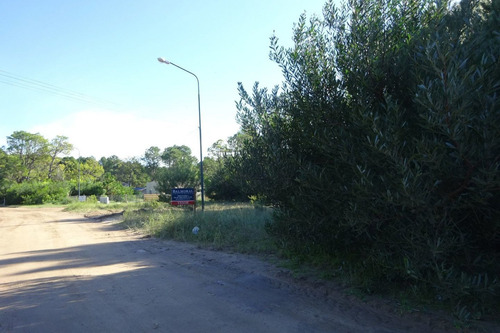 Imagen 3 de 4 de Venta De Lote - Pinamar, Zona Nayades / Ref: 1501