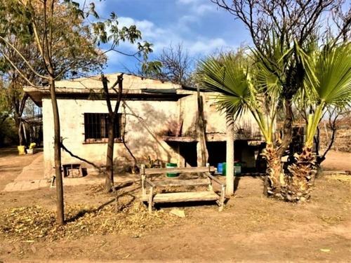 Imagen 11 de 19 de Greenwood Vende Hermosa Finca Con Viñedos, Casa, Galpon Y Pozo Para Riego