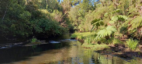 Se Vende Parcela Con Acceso A Rio En Ancud Chiloe 