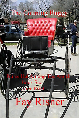 The Courting Buggy: Nurse Hal Among The Amish, De Risner, Fay., Vol. 1. Editorial Createspace, Tapa Blanda En Inglés