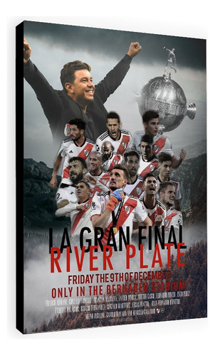Cuadro De River Campeón Libertadores Diseño Pelicula Unico!!