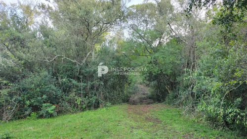 Chacra En Venta Sobre Ruta 12, Pueblo Eden