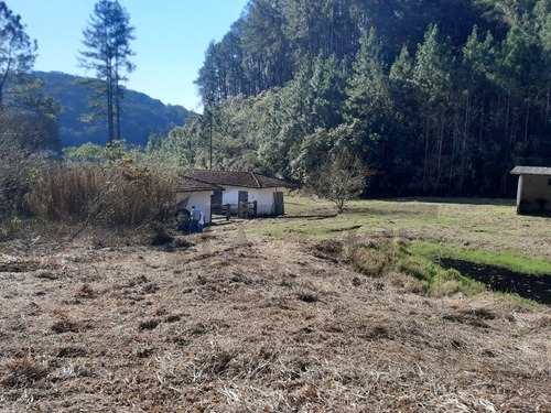 Imagem 24 de 30 de (100 Alqueires) Exuberante Fazenda De Alto Padrão, Com Vista Para Represa, Cachoeira Na Divisa, Cercada Por Mata Nativa E Infraestrutura Completa!!! - 01 - 70257064