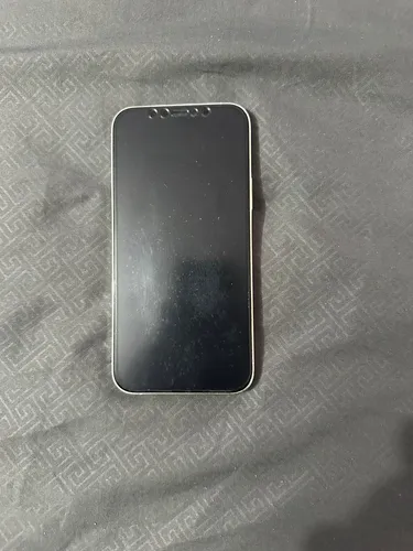 Celular iPhone 12 Pro (Usado)