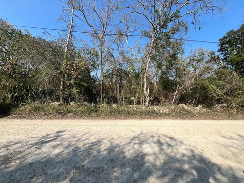 Merida Terreno Venta Cholul