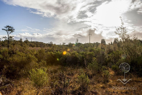 Venta Parcela 1 Hectárea En Ancud, Chiloé