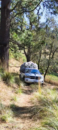 Dodge Dakota Slt Quad Cab 4x2 At