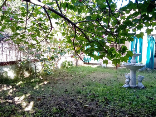 Imagen 22 de 30 de Lote En Venta, Olivos - Apto 3 Duplex