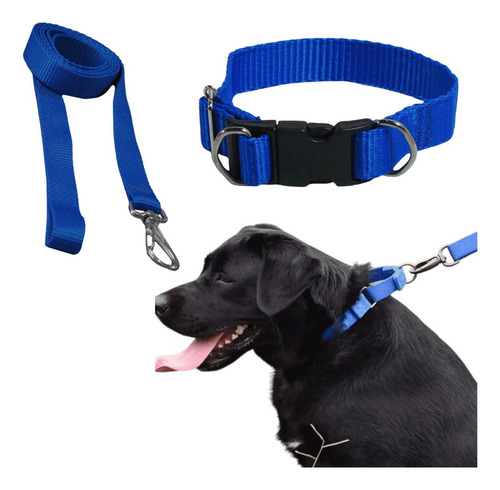 Coleira E Guia Ajustável Cães Raça Grande Médio Resistente Cor Azul Liso