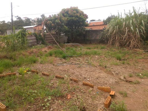 Imagem 6 de 8 de Terreno - Mina Do Mato - Ref: 33058 - V-33055