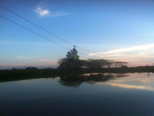 Imagen 15 de 16 de Aa Se Vende Finca Posada 200 Hectáreas Barinas Toreño