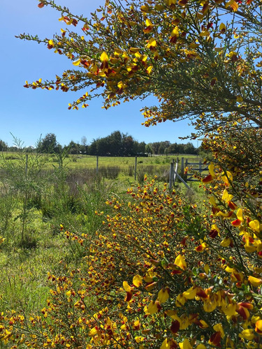 Se Vende Parcela 7.000 M2, Sector Cruce Chacao,  Chiloé.