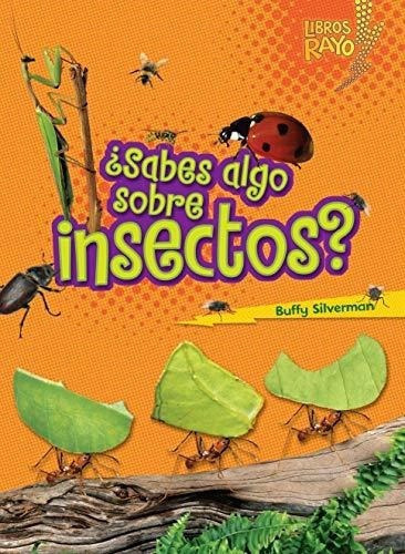 Sabes Algo Sobre Insectos? Do You Know About..., De Silverman, Bu. Editorial Ediciones Lerner En Español