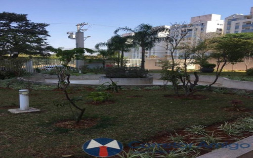 Imagem 5 de 20 de Apartamento 3 Quartos 1 Suíte Picanço 2 Vagas - Ml1279