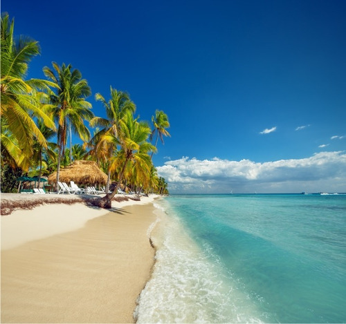 Papel De Parede Paisagem Praia Coqueiro Sol Mar Verão Gg369