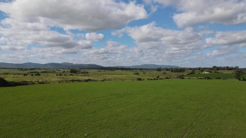Campo En Venta En Solís De Mataojo