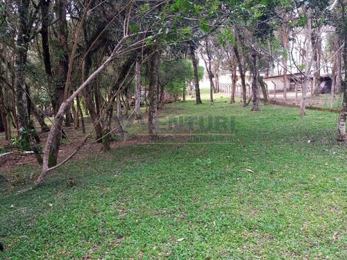 Imagem 11 de 15 de Area - Contenda - Ref: 3923 - V-3923