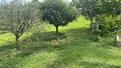 Imagem 4 de 12 de L40- Pague Pouco No Lançamento De Terrenos Em Ibiúna