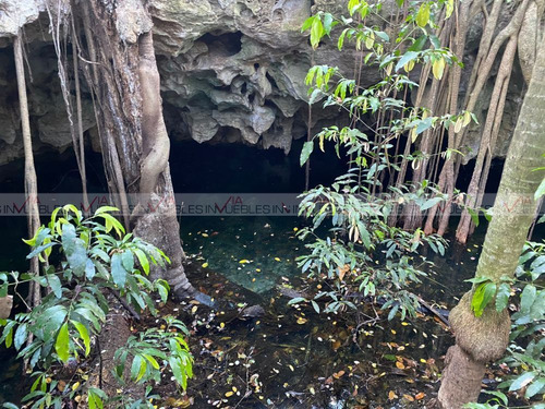 Cenotes Yucatán Santa Rosa