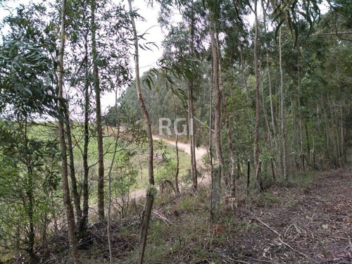 Terreno Em Primeiro Distrito - El56353457