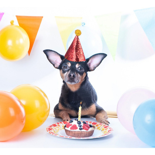 Juego De Sombreros De Cumpleaños Para Perros, Fiesta De Cump