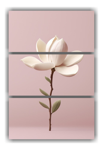 3 Lienzos De Tela Finas Lineas Magnolia Dimensiones 50x75cm