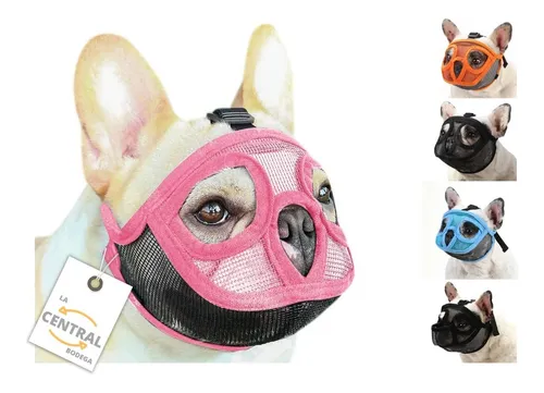 Juguetes para cheap perros bulldog ingles