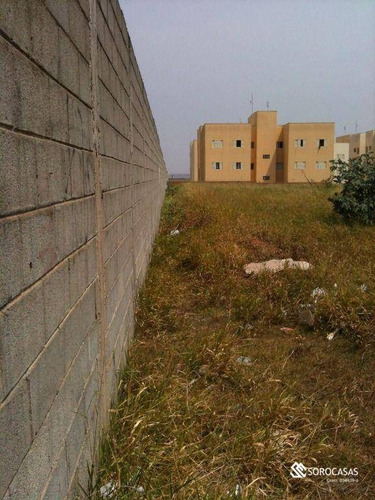 Imagem 8 de 9 de Área, 5000 M² - Venda Por R$ 10.000.000,00 Ou Aluguel Por R$ 30.000,00/mês - Jardim Novo Horizonte - Sorocaba/sp - Ar0031