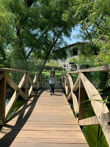 Imagen 11 de 24 de San Miguel De Allende, Terreno En Venta Dentro De Viñedo