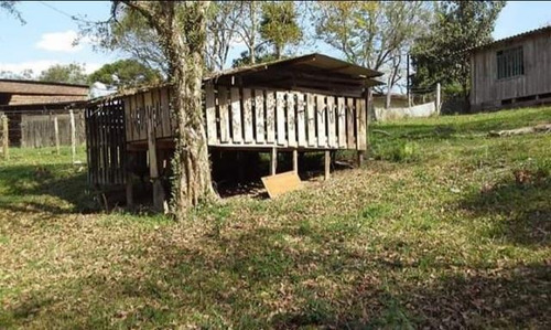 Imagem 4 de 15 de Chácara Para Venda Em Quitandinha, Zona Rural - Qui3300_1-2030544