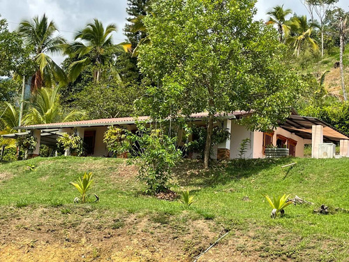 Imagen 29 de 30 de Espectacular Finca Clima Caliente En Venta Porce