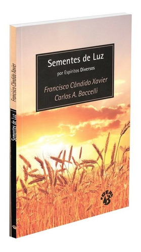 Sementes De Luz