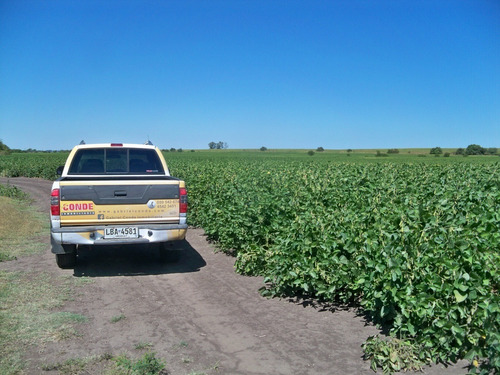 Campos Venta127 Has Agrícolas Nueva Palmira Colonia