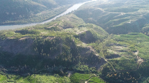 Predio Forestal En Constitución, Regeneración Plan De Manejo