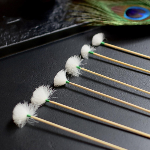 10 Palillos De Pluma De Ganso Para Adultos Y Hilo Verde L