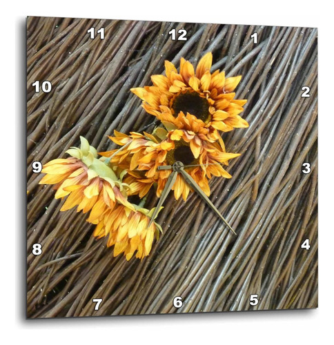 3drose Dpp__1 Girasol Twigs Wall Clock, 10 Por 10 Pulgadas