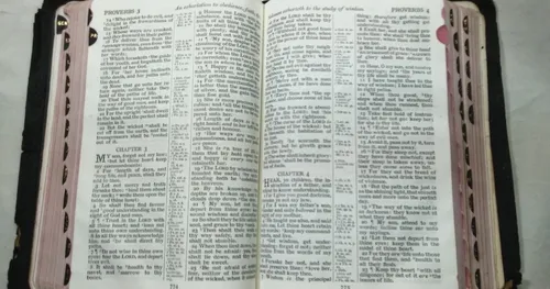 Santa Biblia En Ingles Concordancia Diccionario (Usado)