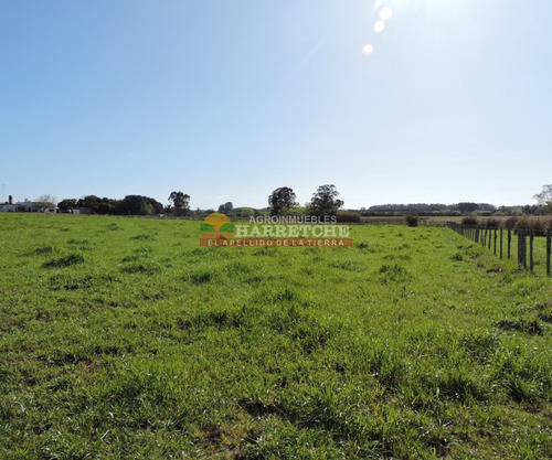 Campo En Venta 18 Has Canelones, Con Todas Las Instalaciones!