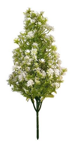 Ramo Amianthium 50 Cm 