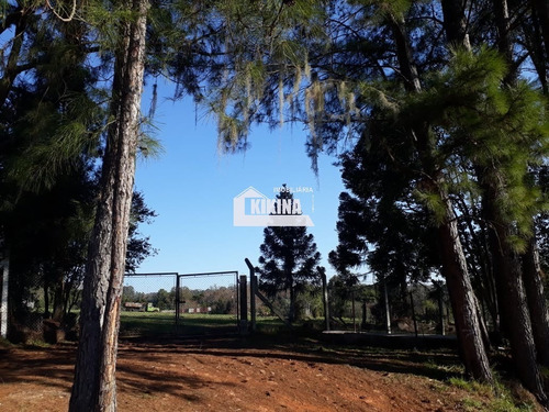 Chácara Para Venda - 11039
