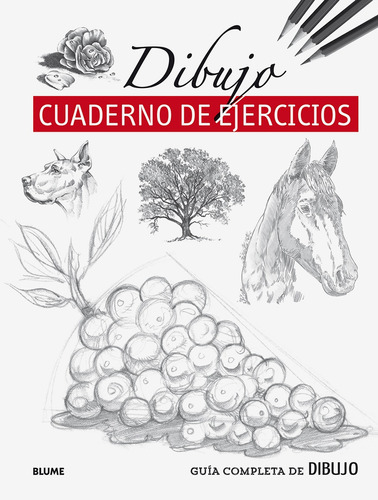 Dibujo - Cuaderno De Ejercicios - Varios Autores