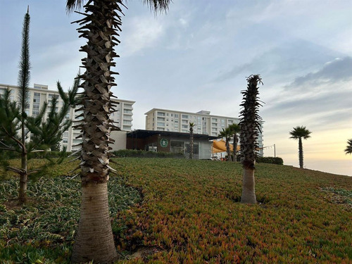 Departamento En Venta En Algarrobo