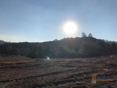 Imagem 18 de 28 de Terreno À Venda, 300 M² Por R$ 115.000,00 - São Giácomo - Caxias Do Sul/rs - Te0190