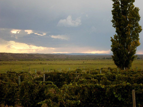 Imagen 10 de 19 de Finca 13 Ha En Cañada Seca - San Rafael